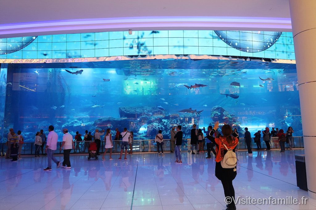 aquarium Dubai mall