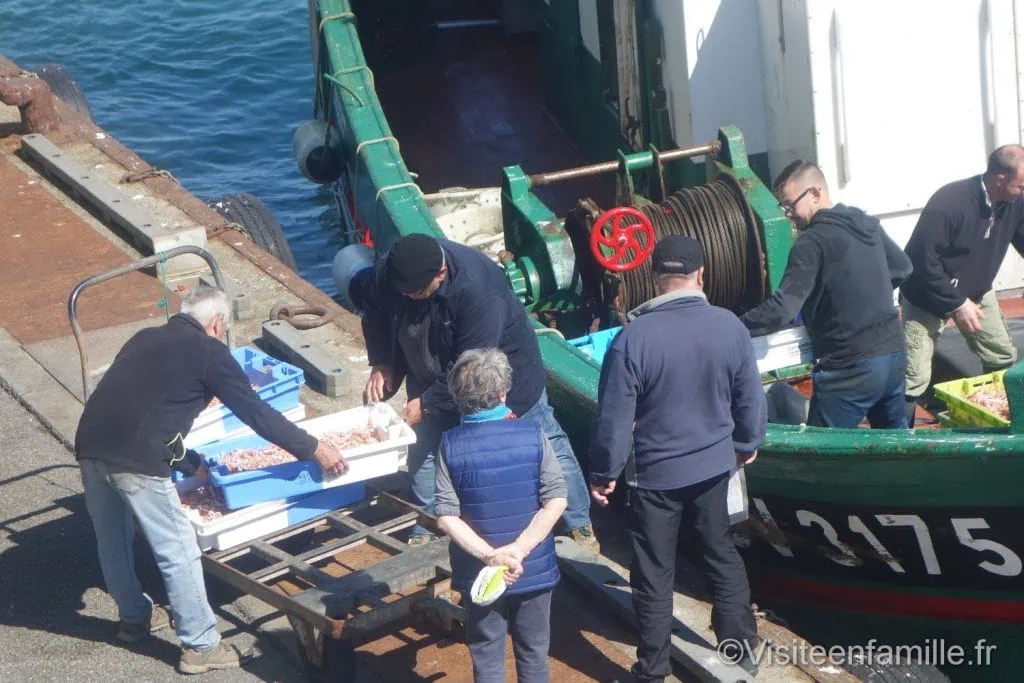 phare d'Eckmühl Visite du pays Bigouden : le Guilvinec, Haliotika, le phare d'Eckmühl