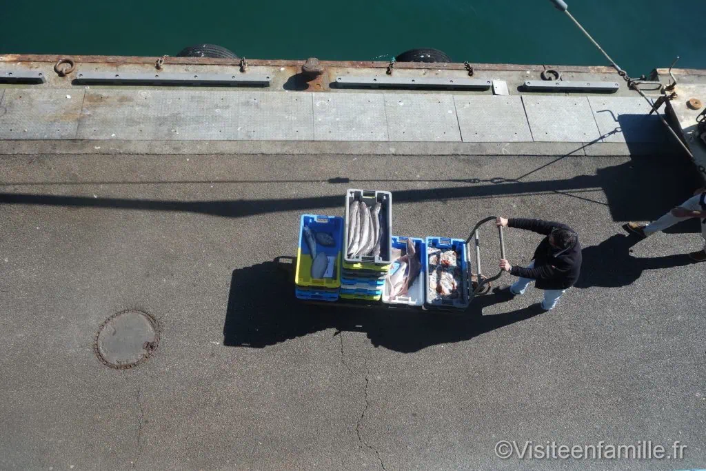 phare d'Eckmühl Visite du pays Bigouden : le Guilvinec, Haliotika, le phare d'Eckmühl