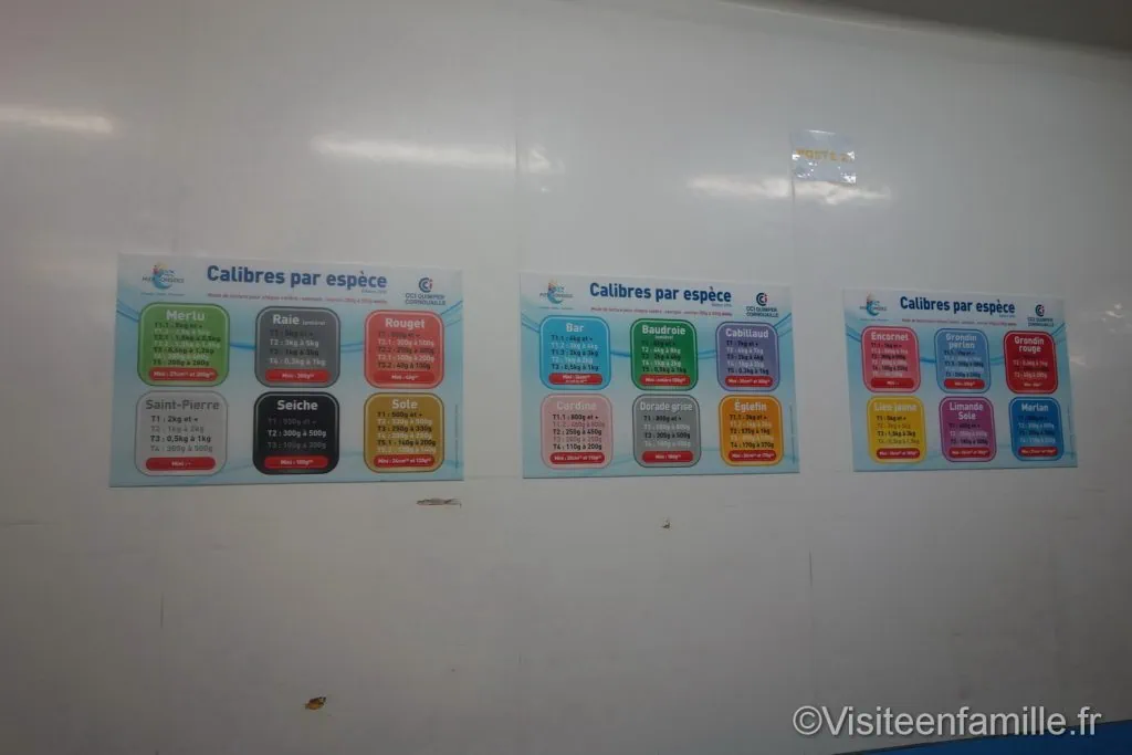 phare d'Eckmühl Visite du pays Bigouden : le Guilvinec, Haliotika, le phare d'Eckmühl