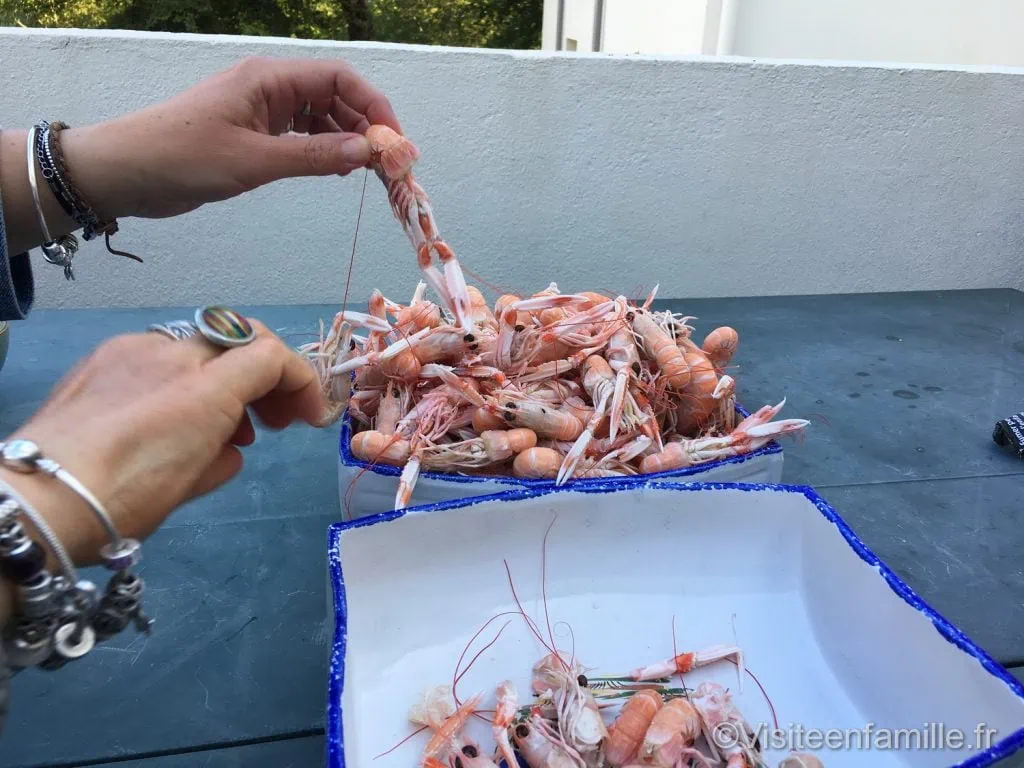 phare d'Eckmühl Visite du pays Bigouden : le Guilvinec, Haliotika, le phare d'Eckmühl