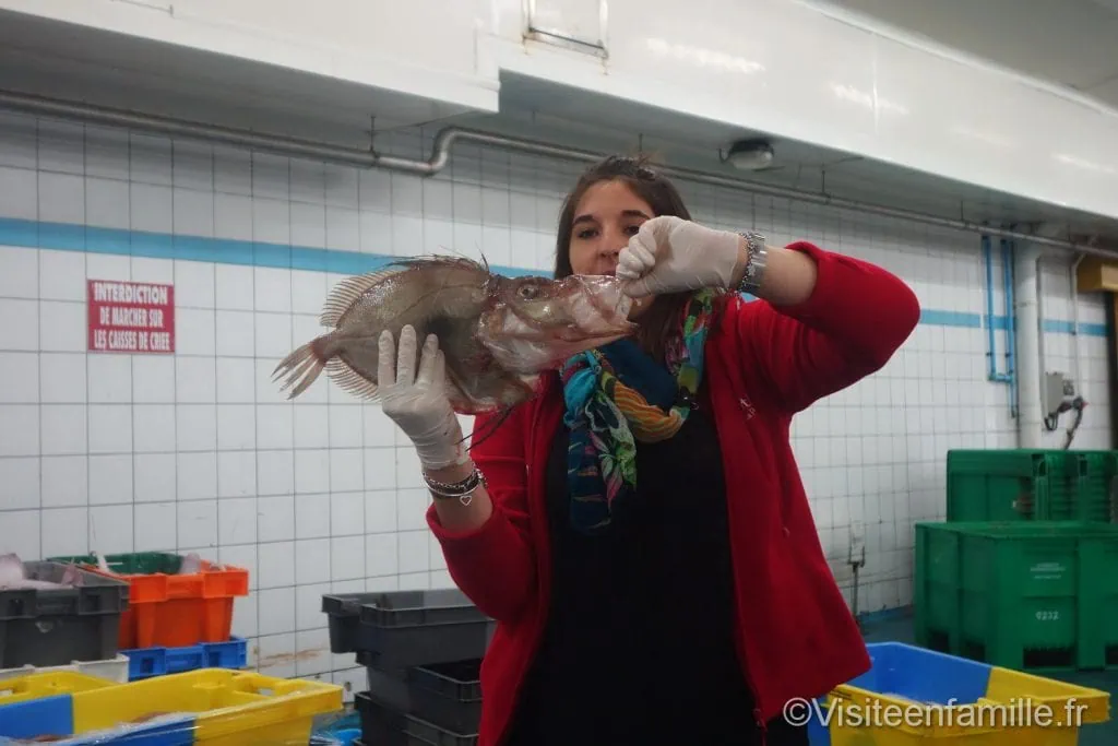 phare d'Eckmühl Visite du pays Bigouden : le Guilvinec, Haliotika, le phare d'Eckmühl