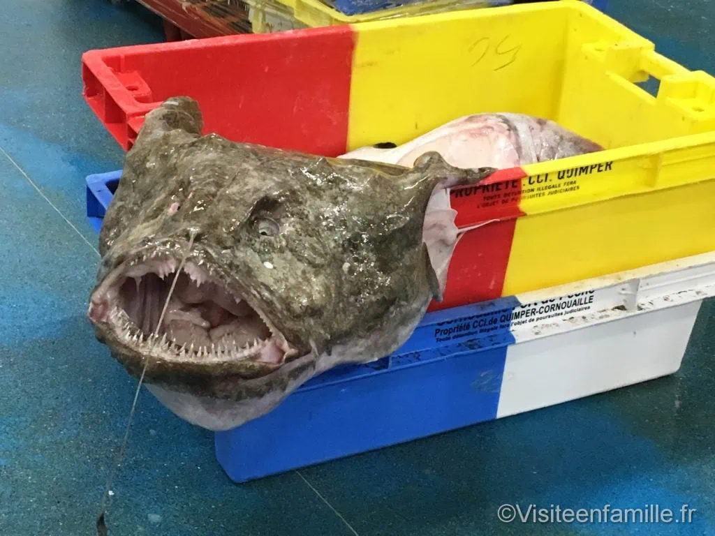 phare d'Eckmühl Visite du pays Bigouden : le Guilvinec, Haliotika, le phare d'Eckmühl