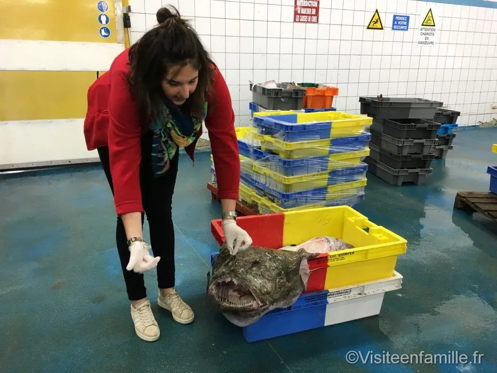 phare d'Eckmühl Visite du pays Bigouden : le Guilvinec, Haliotika, le phare d'Eckmühl
