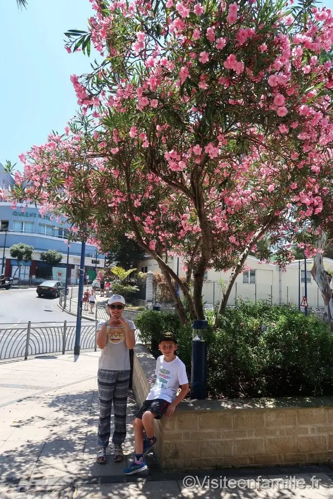 Gibraltar Gibraltar, enclave anglaise en Espagne