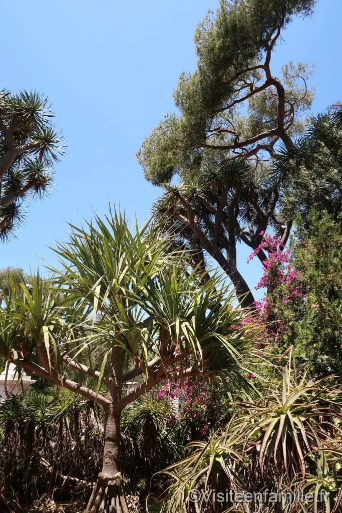 Gibraltar Gibraltar, enclave anglaise en Espagne