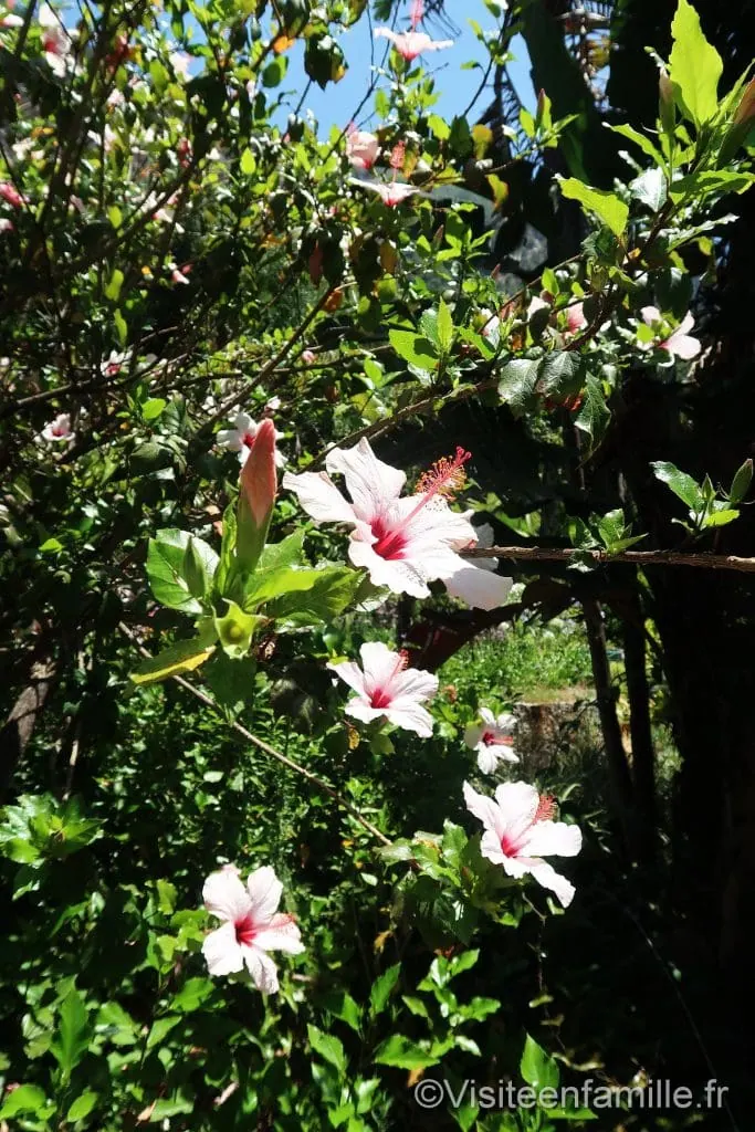 Gibraltar Gibraltar, enclave anglaise en Espagne