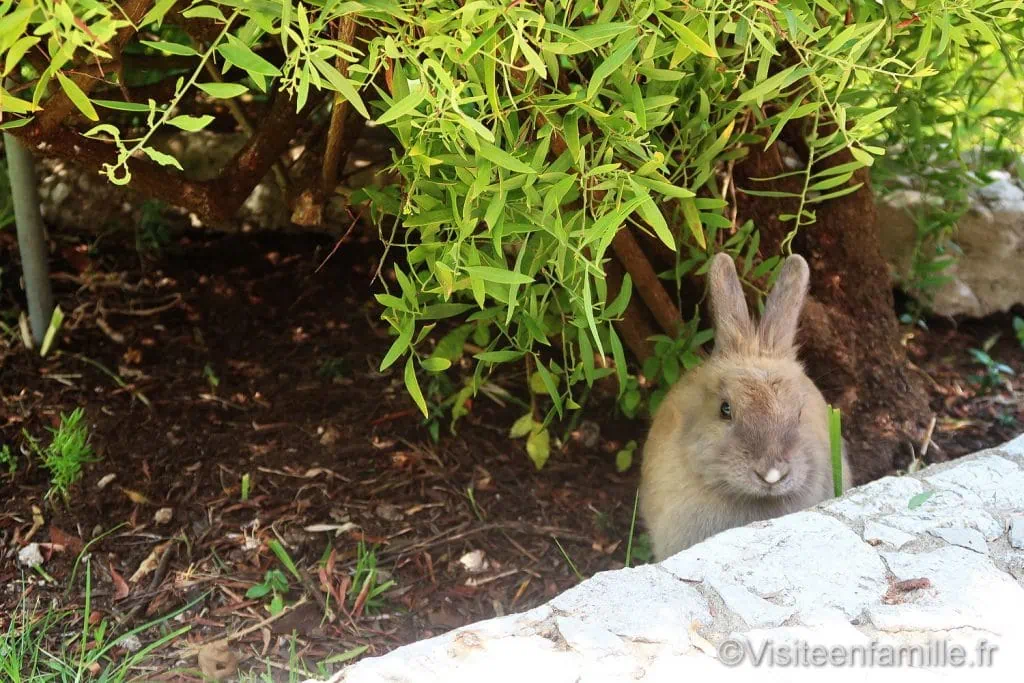 Gibraltar Gibraltar, enclave anglaise en Espagne