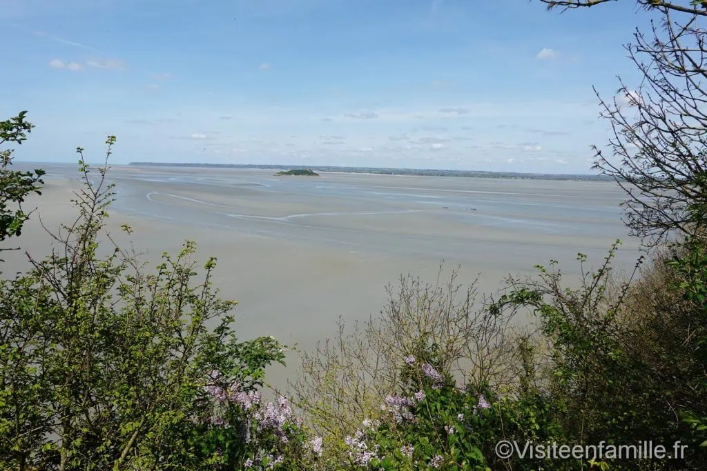 Marée basse au mont Saint Michel