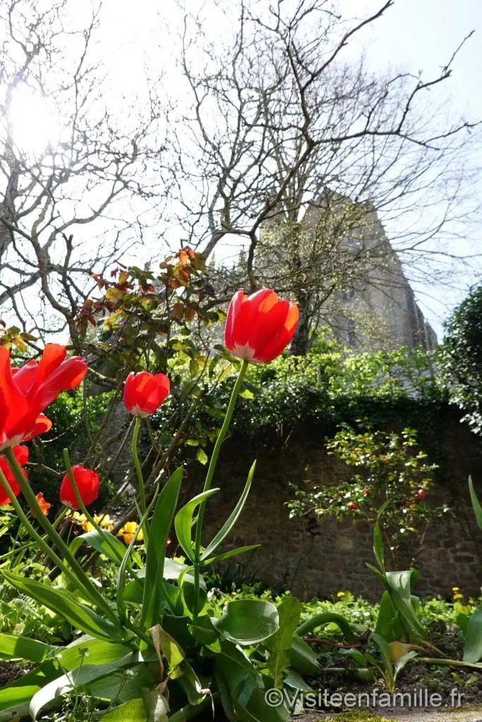 Le mont saint michel