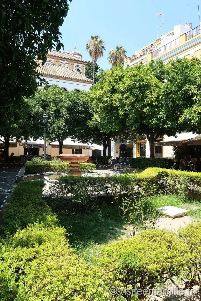 Jardin dans Barrio Santa Cruz à Séville