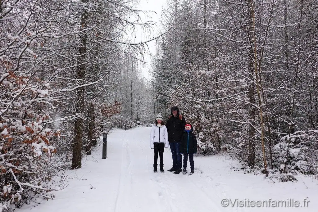 forêt près du Dôme