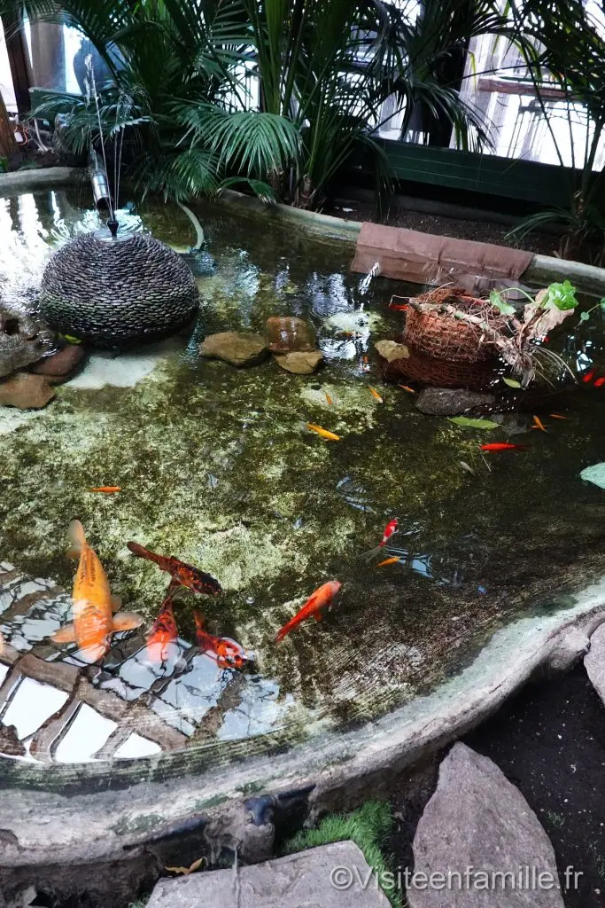 Center Parcs Les Trois Forêts Notre séjour au Center Parcs Les Trois Forêts