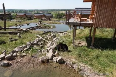 Une nuit insolite au Parc de Sainte-Croix