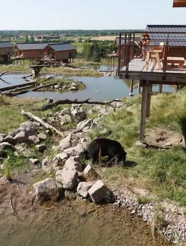 Une nuit insolite au Parc de Sainte-Croix 114 Une nuit insolite au Parc de Sainte-Croix