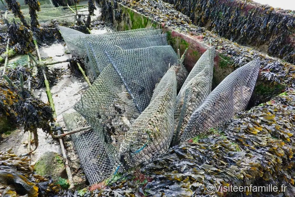 huite de Cancale