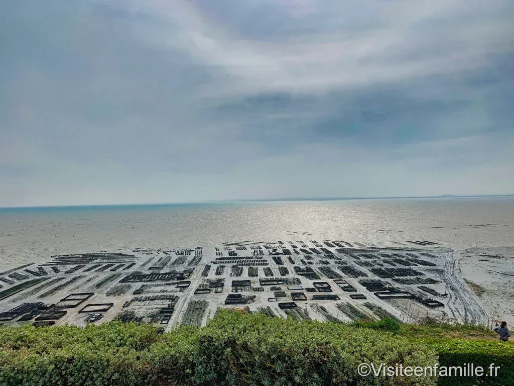 Parc ostréicole de Cancale