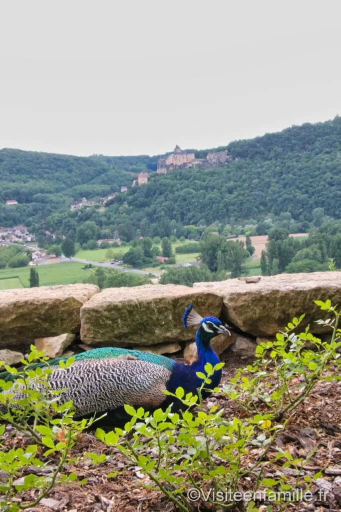 Les jardins de Marqueyssac