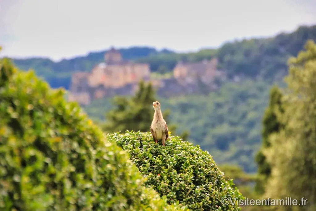 Les jardins de Marqueyssac