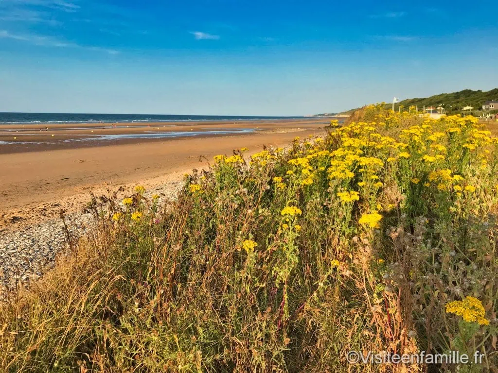 Omaha beach et champs de fleurs