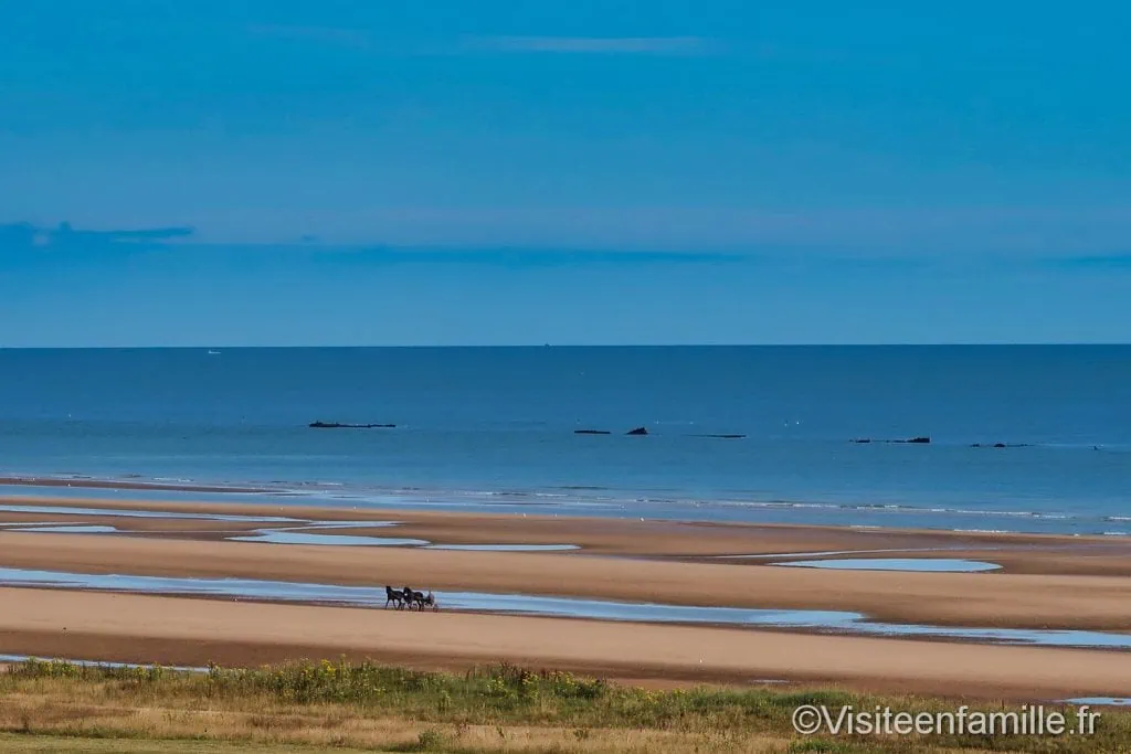 Chevaux sur la plage Omaha beach