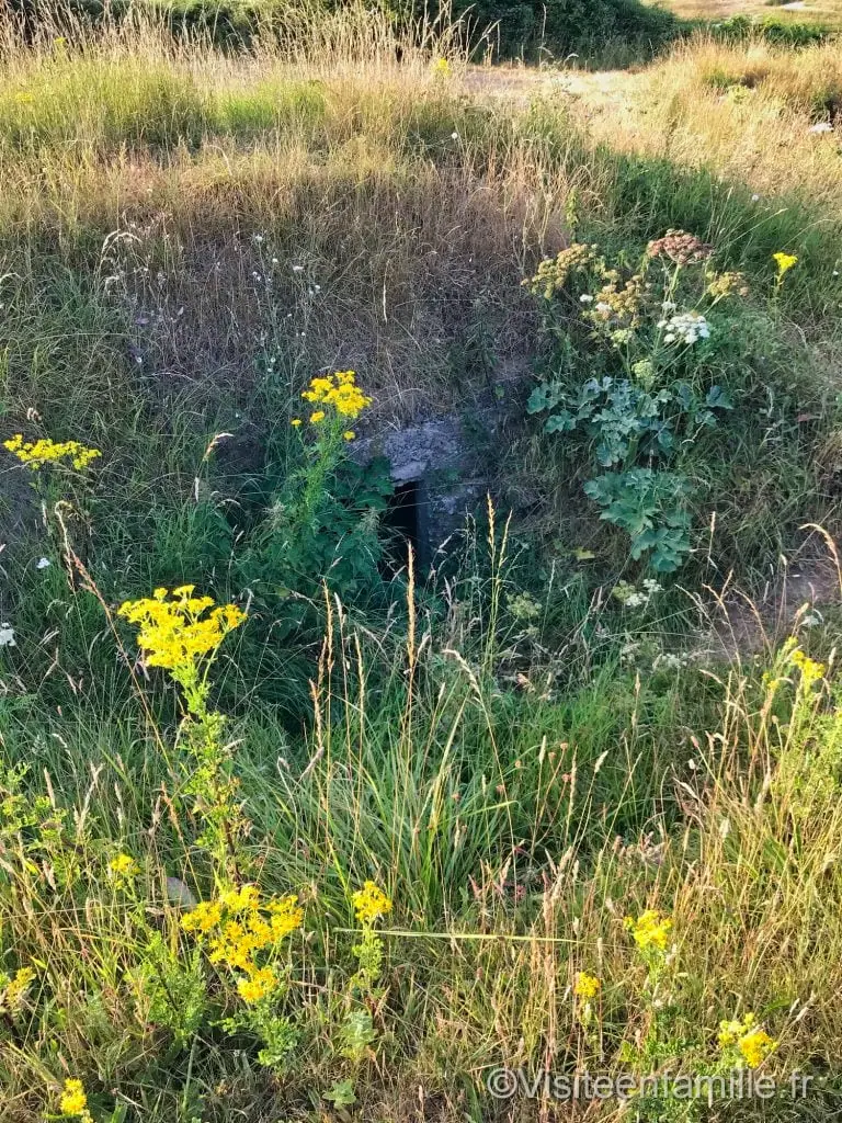 bunker caché à Omaha beach