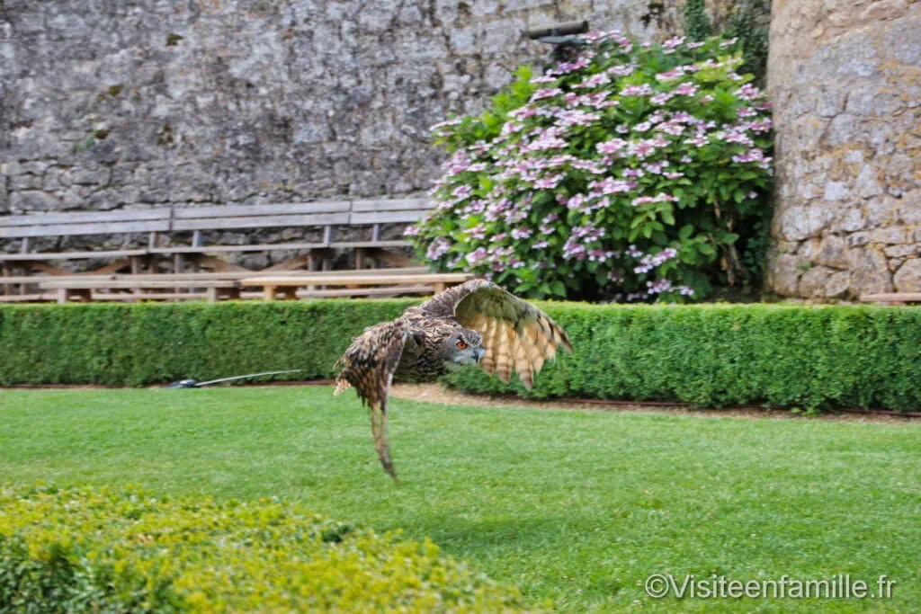 Rapaces du château des Milandes