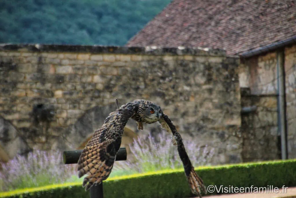 Rapaces du château des Milandes