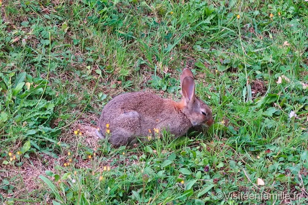 Bergtatt Opplevelser Belambra Club Omaha beach Colleville-sur-mer