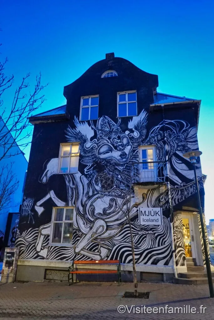 Fresque murale Reykjavik