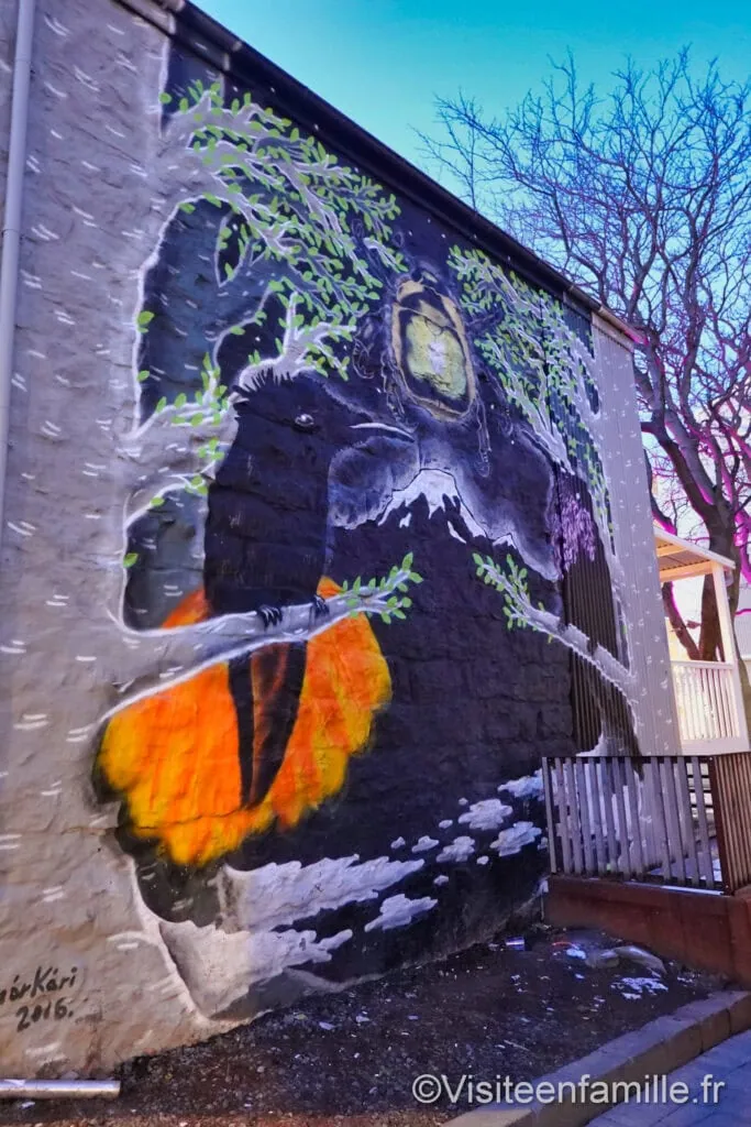street-art Reykjavik