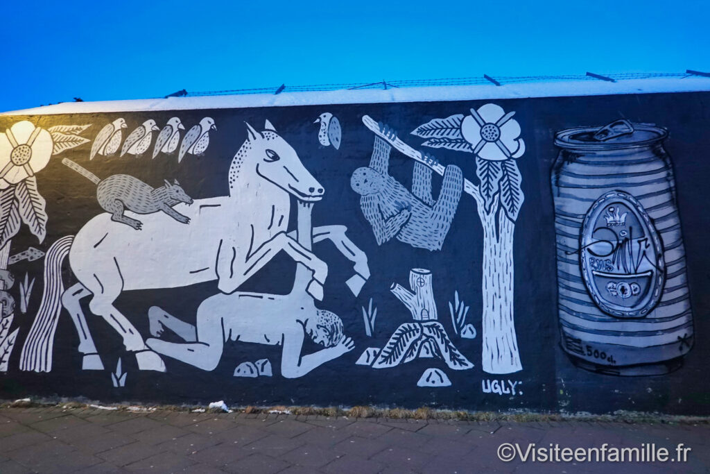 street art Reykjavik
