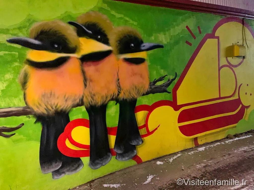 les trois oiseaux de Reykjavik
