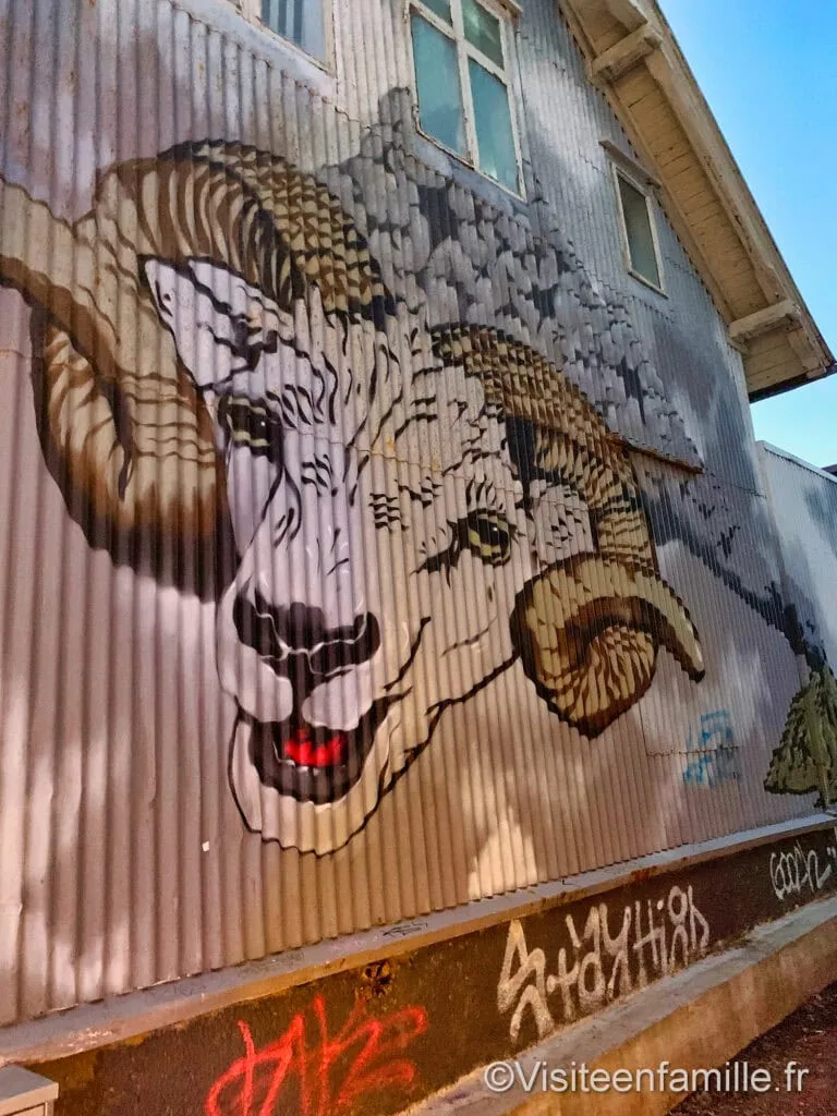 mouton street-art Reykjavik