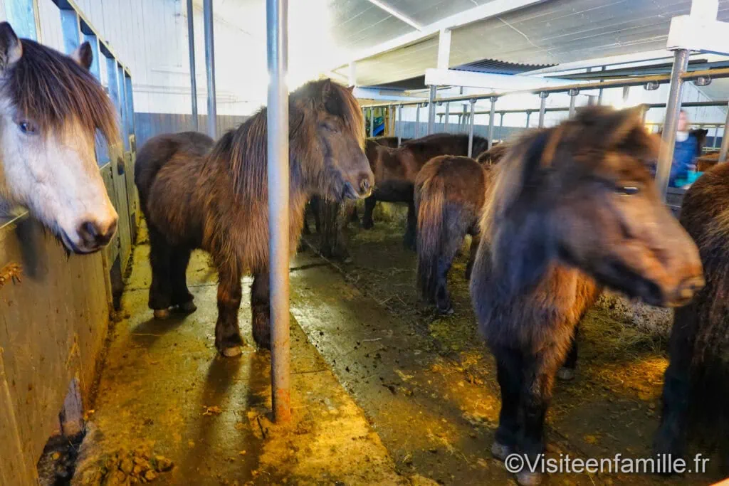 excursion Game of thrones Excursion Game of Thrones en Islande