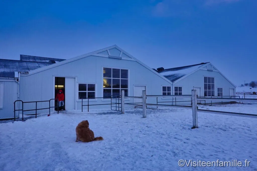 excursion Game of thrones Excursion Game of Thrones en Islande