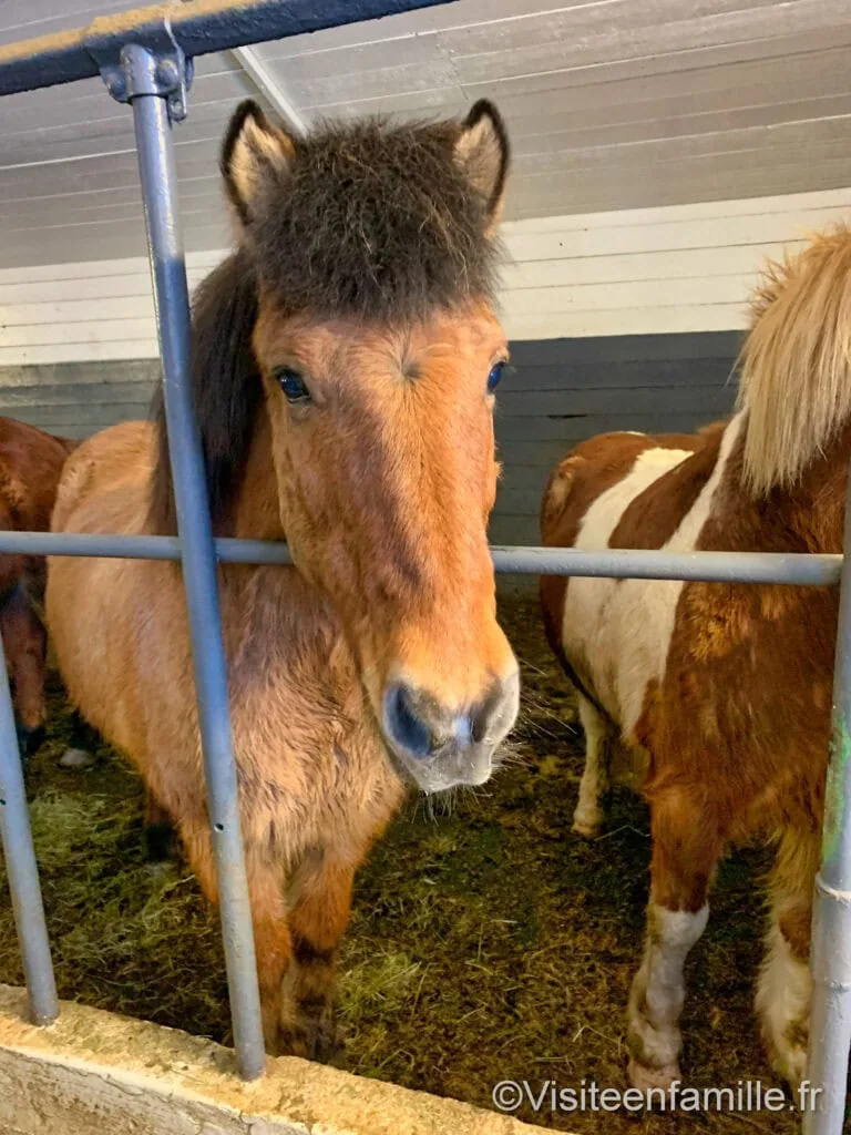 excursion Game of thrones Excursion Game of Thrones en Islande