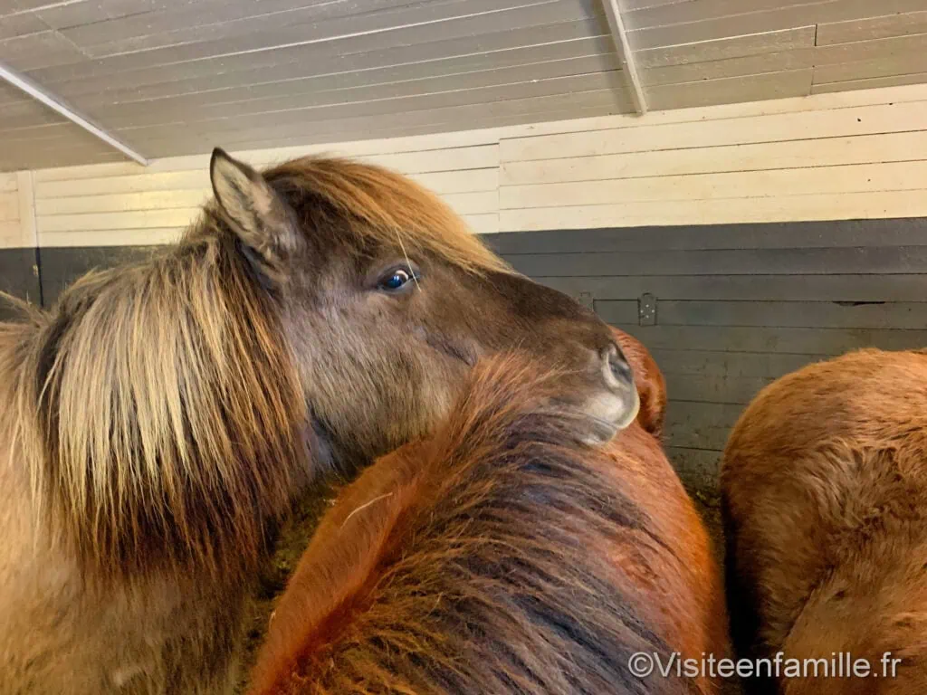 excursion Game of thrones Excursion Game of Thrones en Islande