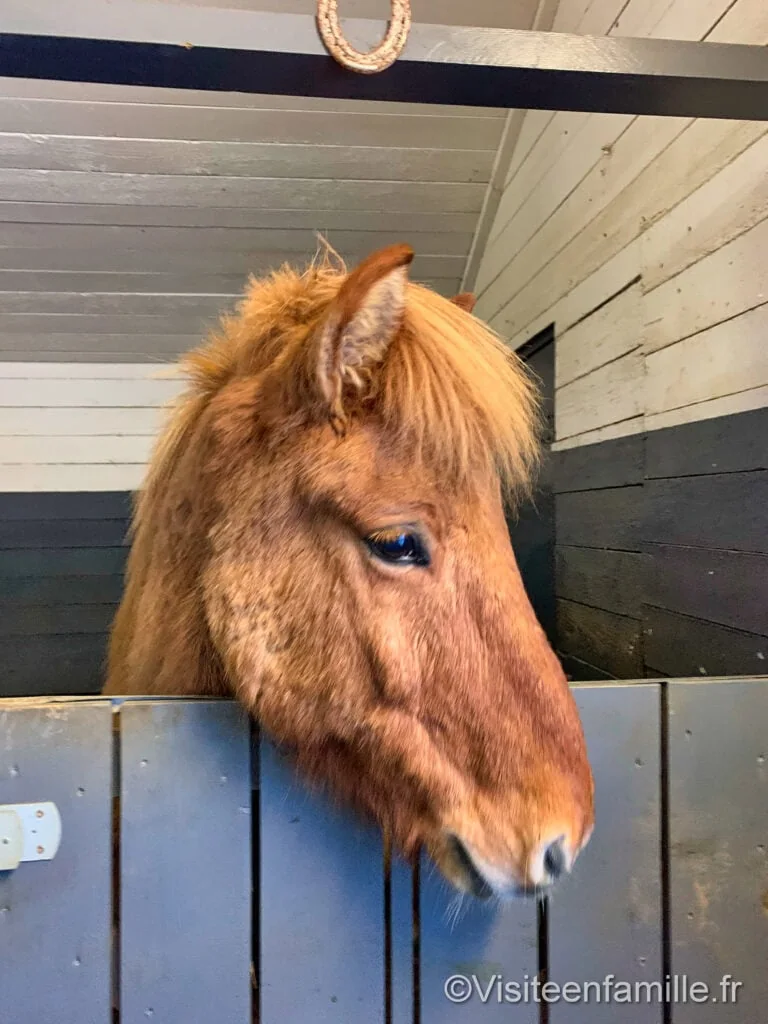 excursion Game of thrones Excursion Game of Thrones en Islande