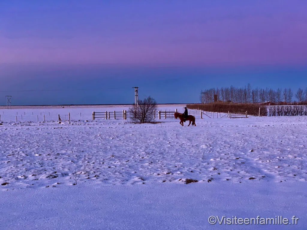 excursion Game of thrones Excursion Game of Thrones en Islande