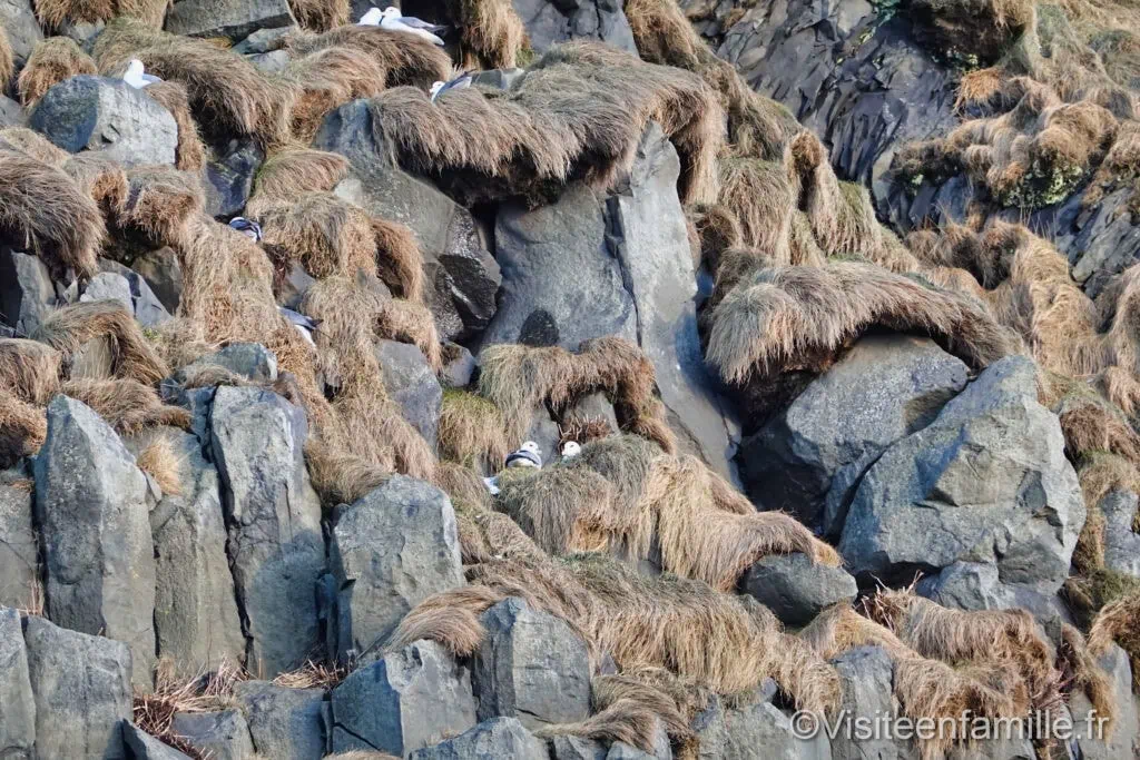 islande