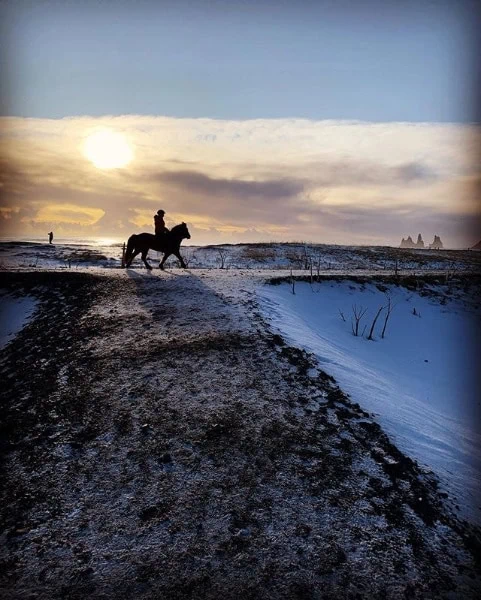 cheval sur la plage de sable noir à vík í mýrdal islande