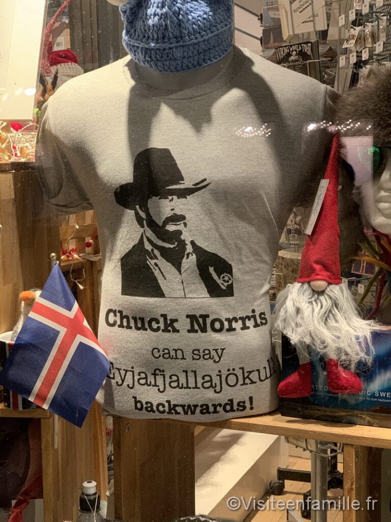 t shirt Chuck Norris