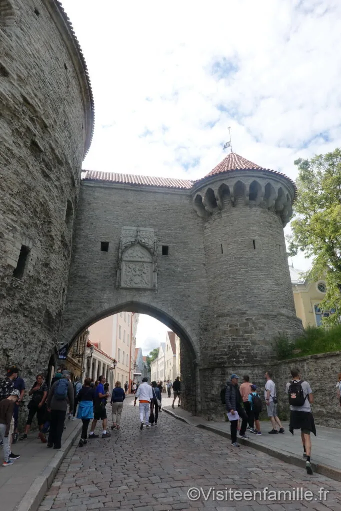 Muraille Tallinn