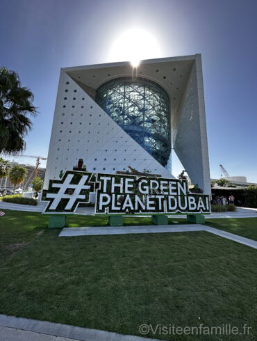 dauphins The Green Planet Dubai