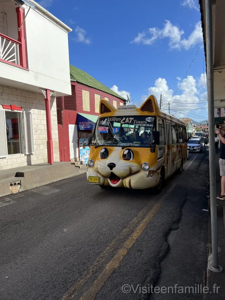 chat bus St John's