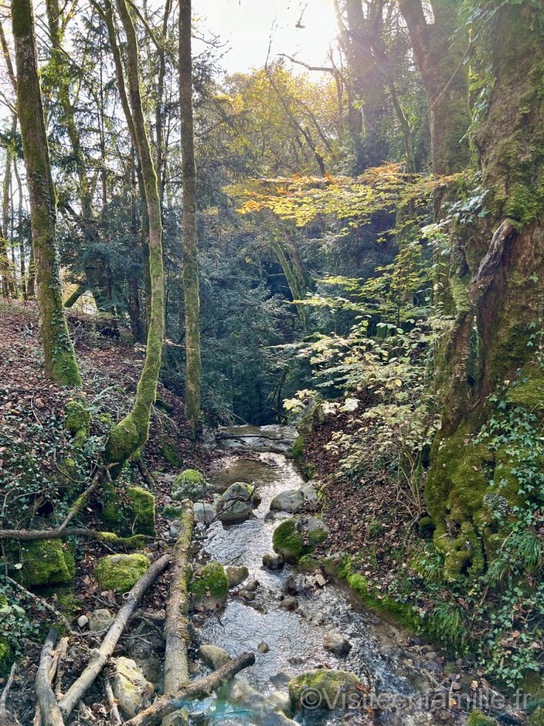 forêt cascade d'Angon