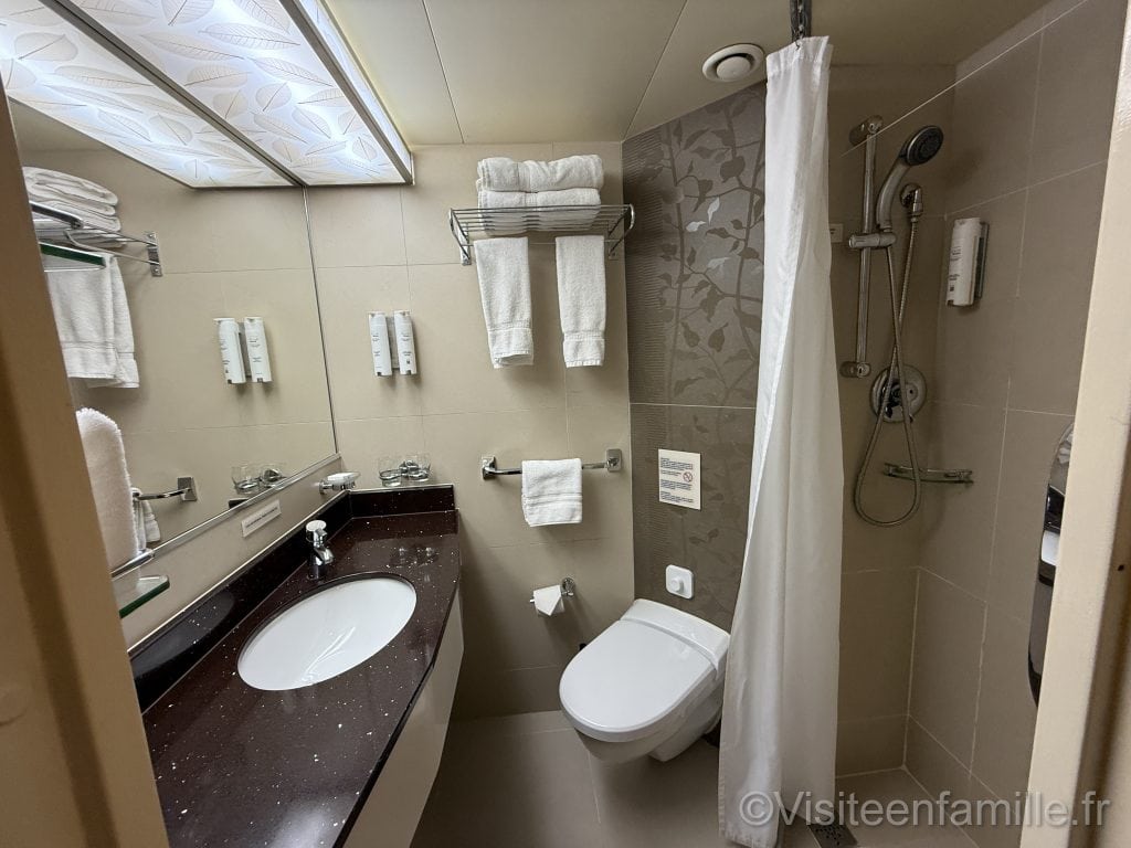 Douche et toilette CFC Renaissance