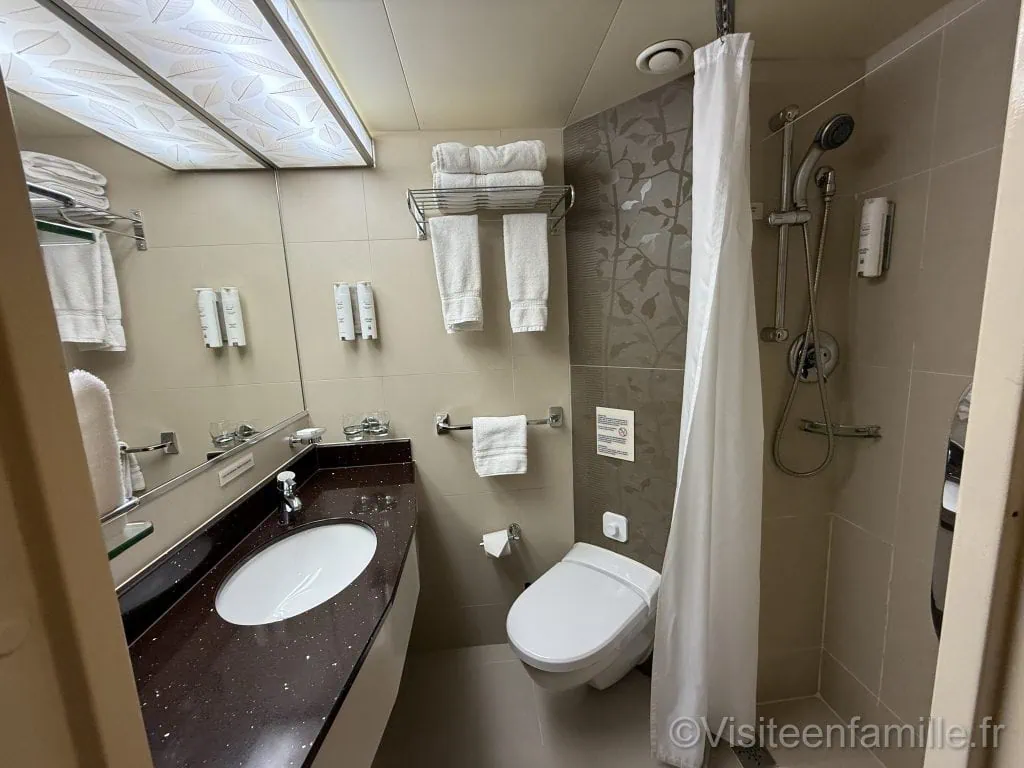 Douche et toilette CFC Renaissance