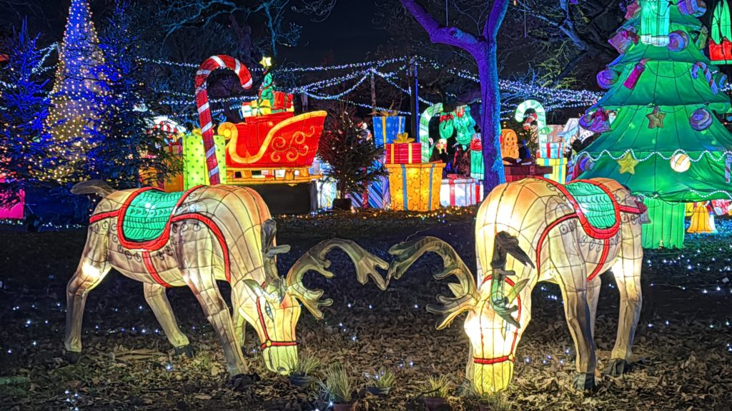 Sentier des Lanternes Avis Le Sentier des Lanternes à Metz (2025) : on a testé la balade féerique gratuite en famille